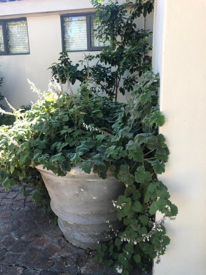 Apartamento Just A Bed Stellenbosch Exterior foto